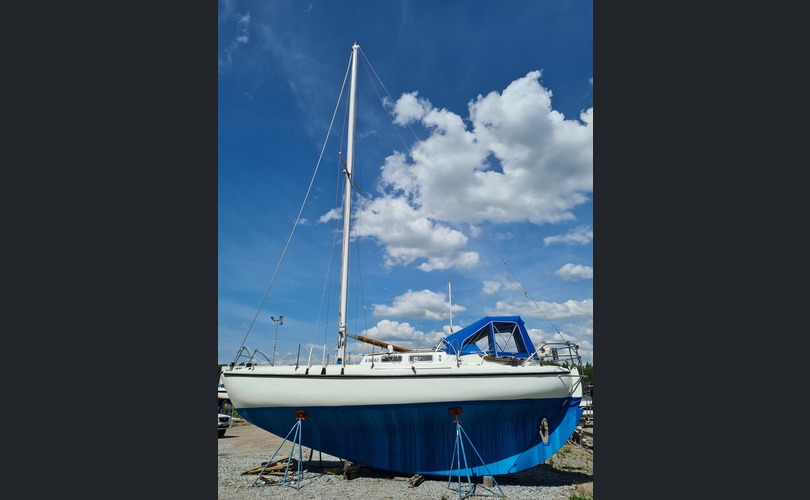 Laurin Koster 32-kuva-9